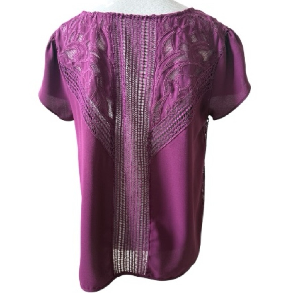 Brixon Ivy Purple Top, Large